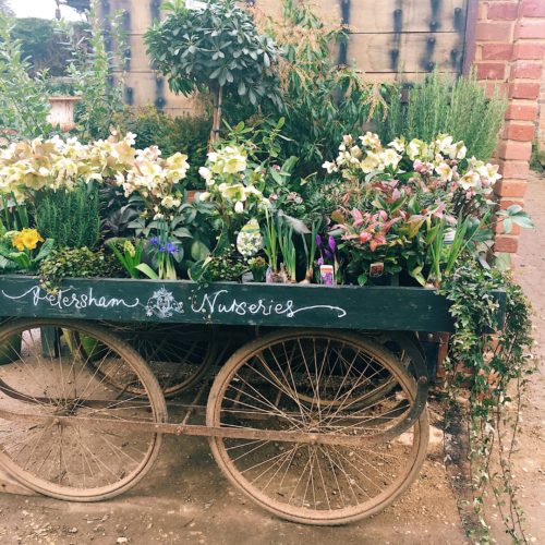 A cart full of flowers and plants 