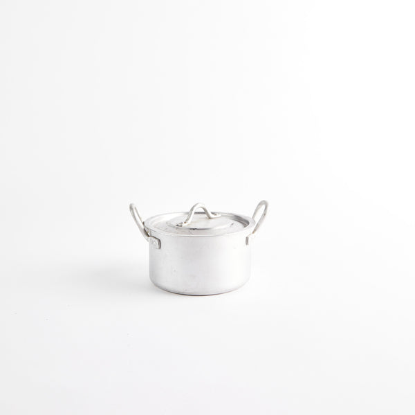 Silver metal pot with lid.