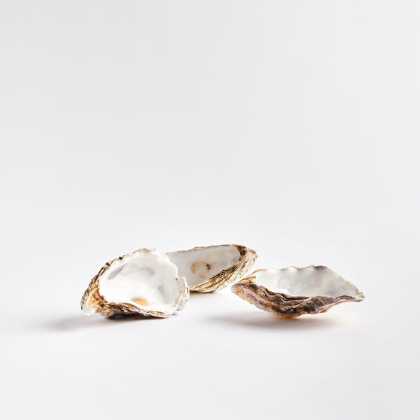 Three oyster shells.