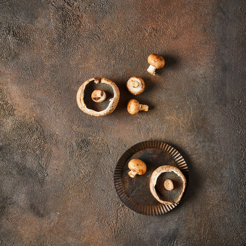 Top view of mushrooms on Burnt Black Background.