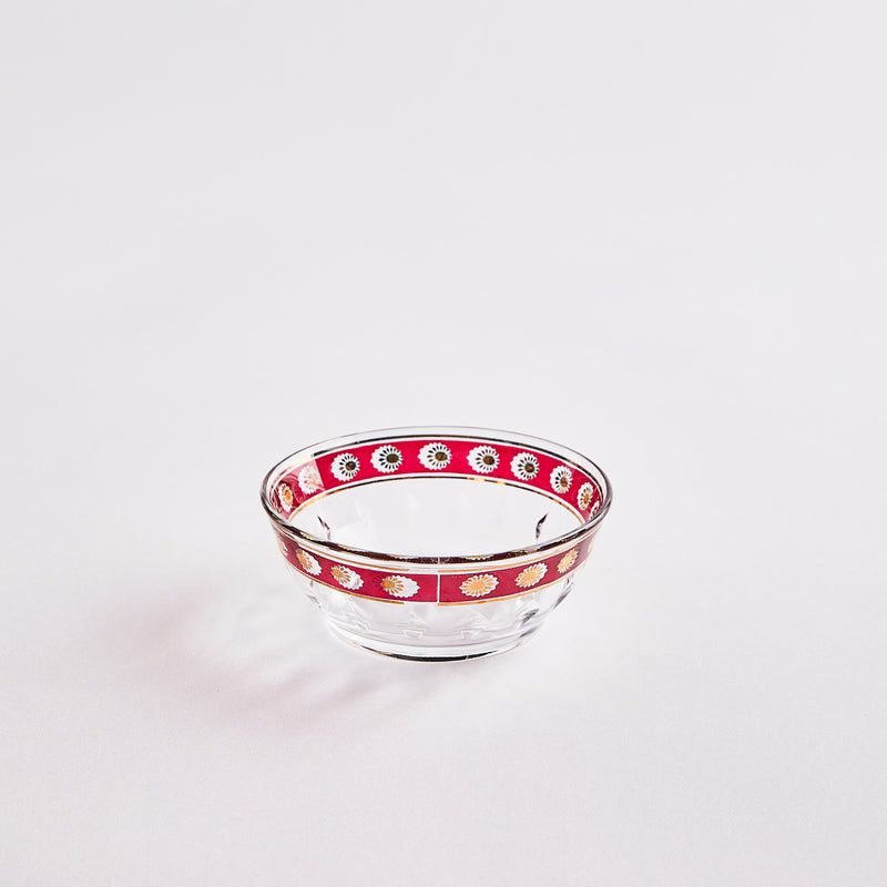 Clear with red design edges bowl.