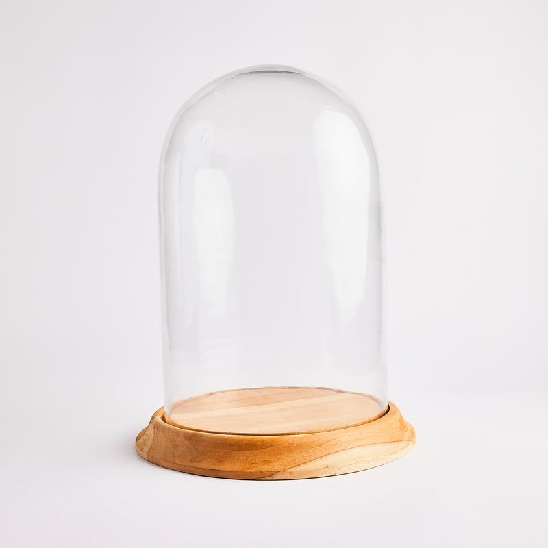 Glass cloche with wooden base.