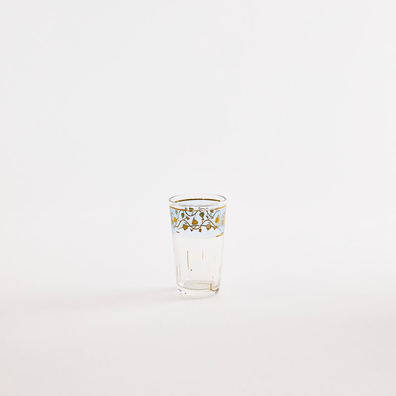 Clear glass tumbler with multicolour design.