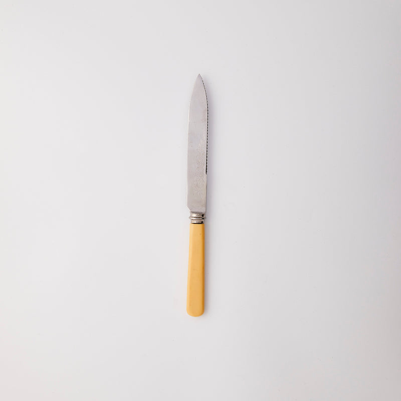 Silver knife with yellow handle.