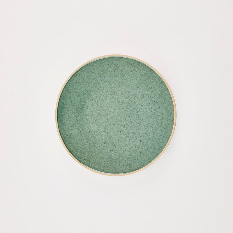 Green speckled plate.