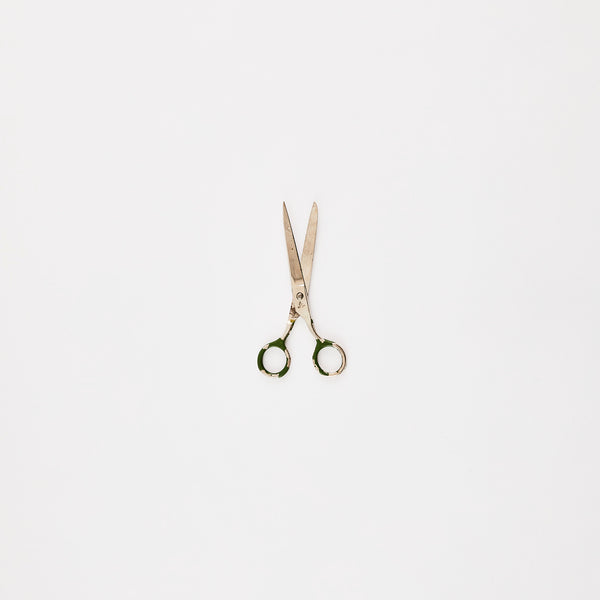 Green and silver scissors.