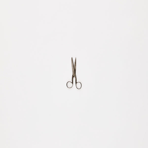 Silver scissors.