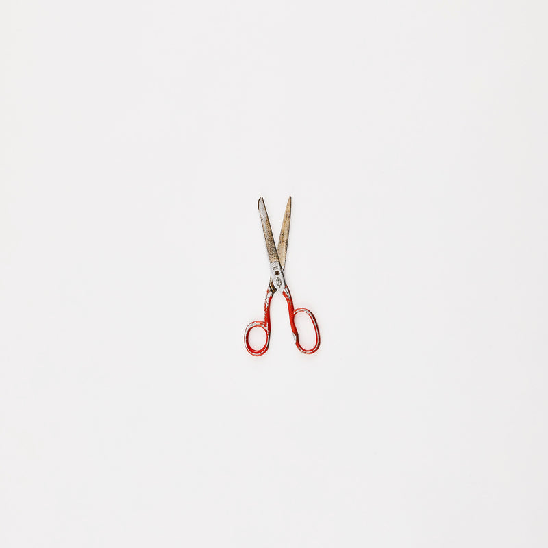 Red and silver scissors.